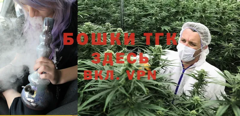 Конопля White Widow  мега маркетплейс  Володарск 